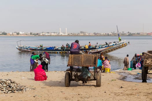 Dakar, Senegal. August 18, 2019: People buying and selling just landed fish on beach at Dakar, Senegal, West Africa