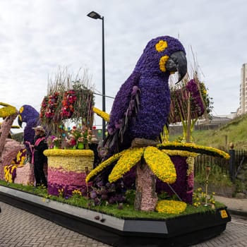 Noordwijk, Netherlands - April 22, 2023: Spectacular flower covered floats in the Bloemencorso Bollenstreek the annual spring flower parade from Noordwijk to Haarlem in the Netherlands.