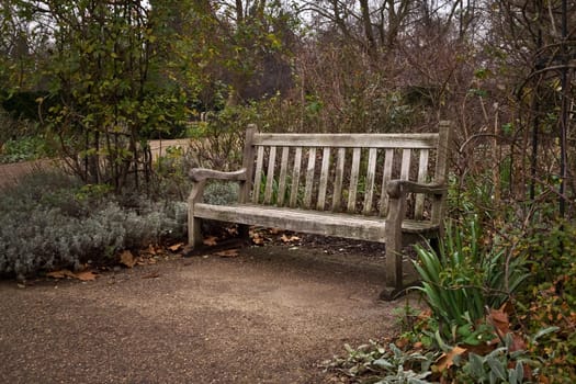 Old lone wooden bench at park on cold autumn evening.