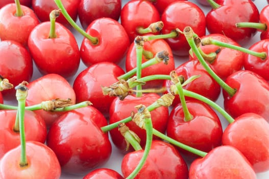 beautiful harvest of raw cherry on studio