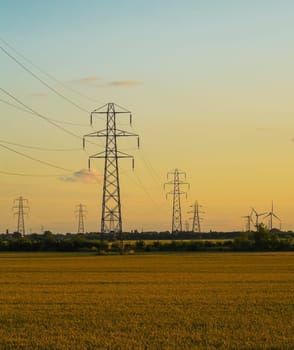 electricity pylons ina field in the early evening