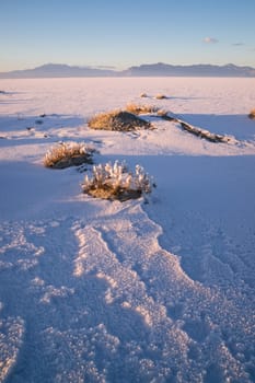 The salt melts the snow first on the flats at sunset