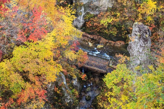 Autumn Colors of Naruko-Gorge in Japan for adv or others purpose use