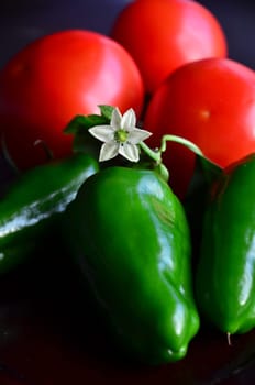 chilli and tomato