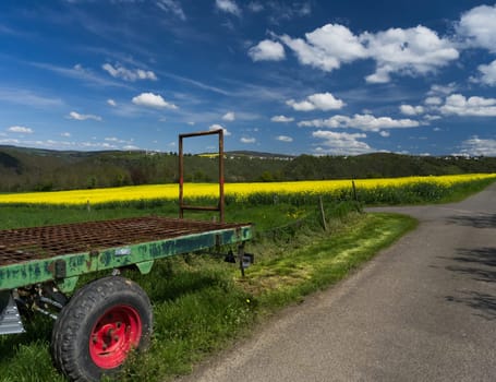 Trailer with red tire next to a rapeseed field /Landscapes Rhine River