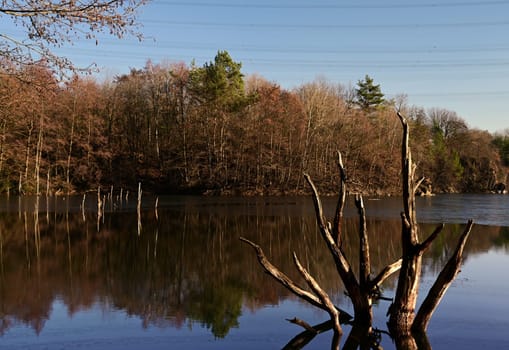 Recreation in a stone pit area with a little lake