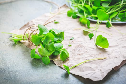 Winter purslane - Indian lettuce, healthy green vegetables for raw salads and cooking. Claytonia perfoliata