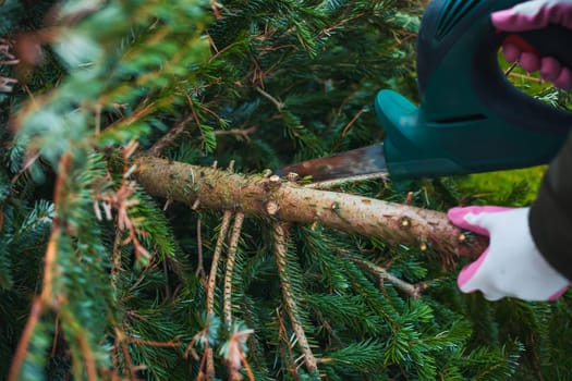 Gardening work in autumn and winter. Teenager is sawing old Christmas tree with electric saw and cutting branches .