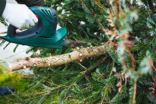 Gardening work in autumn and winter. Teenager is sawing old Christmas tree with electric saw and cutting branches .