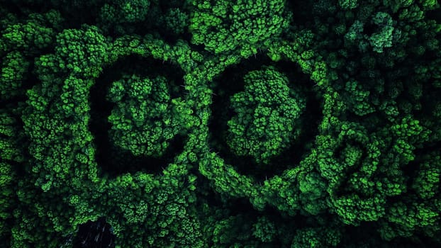 Forest and CO2, top view. Environmental pollution and nature, concept. Global warming, creative idea