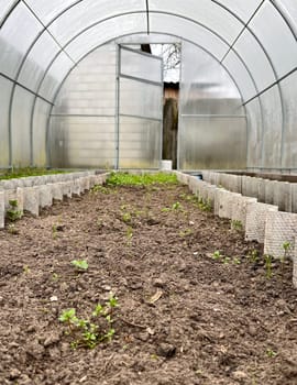 in early spring, the polycarbonate greenhouse is ready for use in the garden