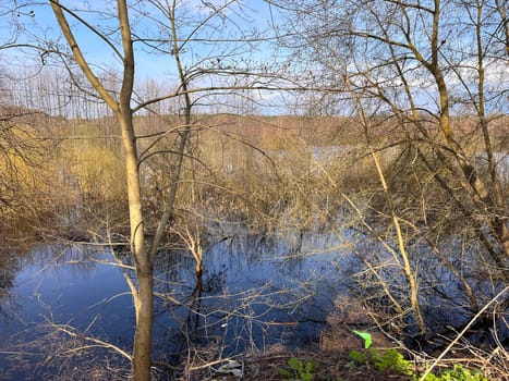 a magnificent landscape of flooding of the riverbed in spring in April, the first buds on the trees on the high bank