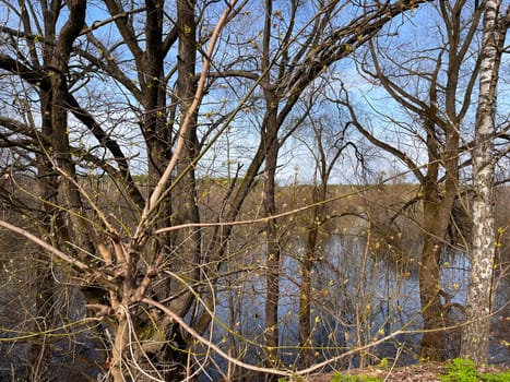 a magnificent landscape of flooding of the riverbed in spring in April, the first buds on the trees on the high bank