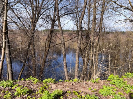a magnificent landscape of flooding of the riverbed in spring in April, the first buds on the trees on the high bank