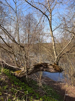 a magnificent landscape of flooding of the riverbed in spring in April, the first buds on the trees on the high bank