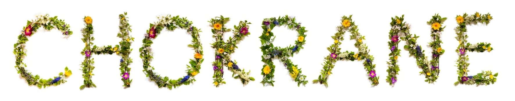 Colorful Flowers Building Arabic Text Chokrane, Means Thank You in English, Some Green And Some Spring Flowers on Isolated White Background, Symbolic Meaning, Quote