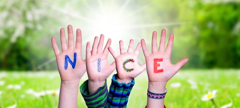 Children Hands Building Colorful English Word Nice. Sunny Green Grass Meadow As Background.