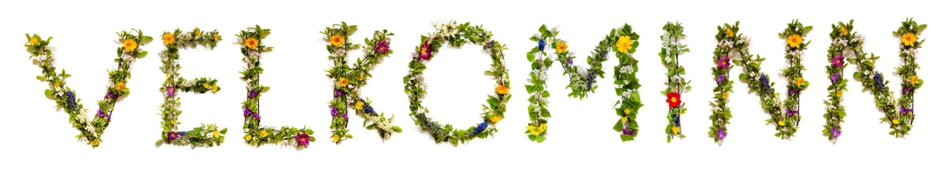 Colorful Flowers Building Icelandic Text Velkominn, Means Welcome in English, Some Green And Some Spring Flowers on Isolated White Background, Symbolic Meaning, Quote
