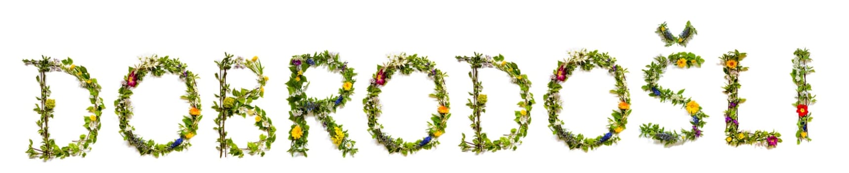 Colorful Flowers Building Croatian Text Dobrodosli, Means Thank You in English, Some Green And Some Spring Flowers on Isolated White Background, Symbolic Meaning, Quote