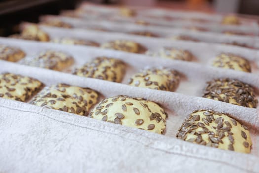 Organic Bakery - details of baker baking bread handmade