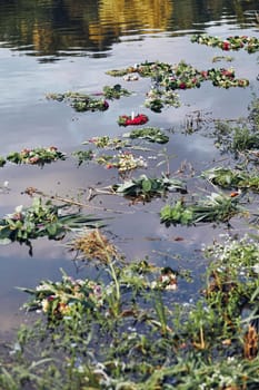 Many wreaths of flowers and herbs floating on river. Midsummer divination