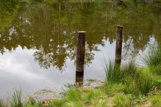 Shore at a small lake with wooden posts in the water and reflection of trees in the water
