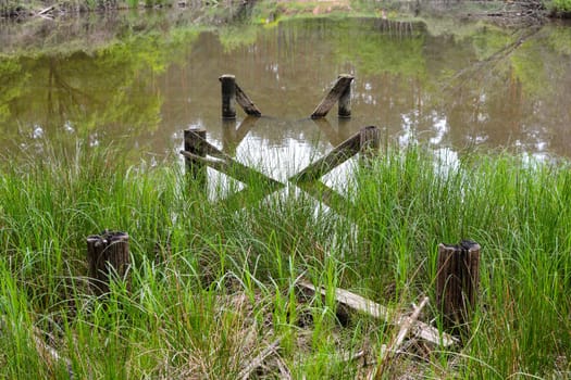 Shore at a small lake with wooden posts in the water and reflection of trees in the water