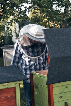 Beekeeper working in apiary. Drawing out the honeycomb from the hive with bees and honey on comb. Real people, authentic situations