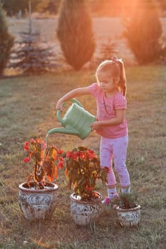 Little girl helping to water the flowers growing in flower pot, pouring water from green watering can, working in backyard at sunset. Candid people, real moments, authentic situations