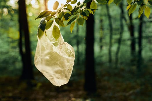Plastic waste left in forest. Concept of plastic pollution and irresponsibility for environment. Environmental issue. Environmental damage. Real people, authentic situations