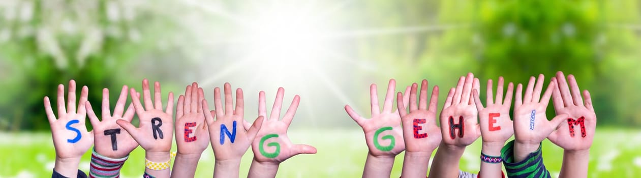 Children Hands Building Colorful German Word Streng Geheim Means Top Secret. Sunny Green Grass Meadow As Background.