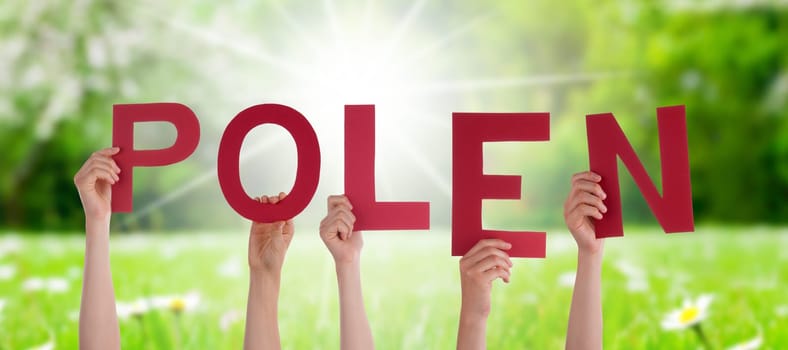 People Or Persons Hands Building German Word Polen Means Poland. Sunny Green Grass Meadow As Background.