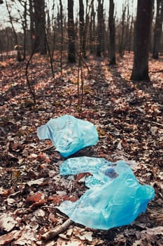 Plastic waste left in forest. Concept of plastic pollution and irresponsibility for environment. Environmental issue. Environmental damage