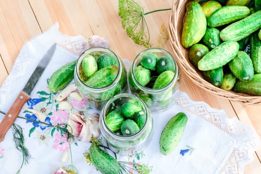 Pickling the cucumbers with home garden vegetables and herbs, fresh vegetables picked straight from field, collected on wooden table outdoors. View from above