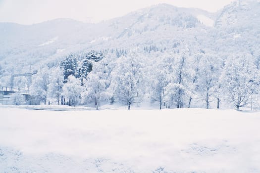 Winter landscape in Scandinavia. With snow covered trees on a mountain. Landscape photo from the north