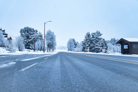 Winter landscape in Scandinavia. With snow covered trees on a road. Landscape photo from the north