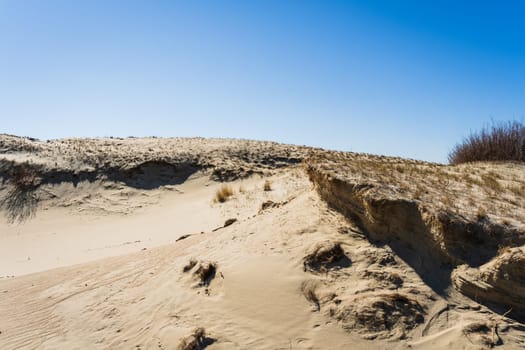 The Gray Dunes, or the Dead Dunes is sandy hills with a bit of green specks at the Lithuanian side of the Curonian Spit.