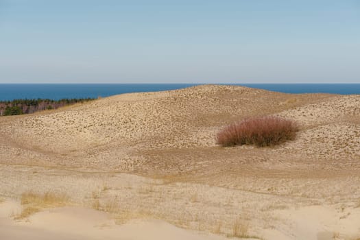 The Gray Dunes, or the Dead Dunes is sandy hills with a bit of green specks at the Lithuanian side of the Curonian Spit.