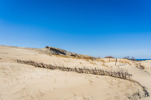 The Gray Dunes, or the Dead Dunes is sandy hills with a bit of green specks at the Lithuanian side of the Curonian Spit.
