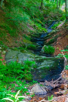 Stream in the green forests of Semenic Mountains, Romania.