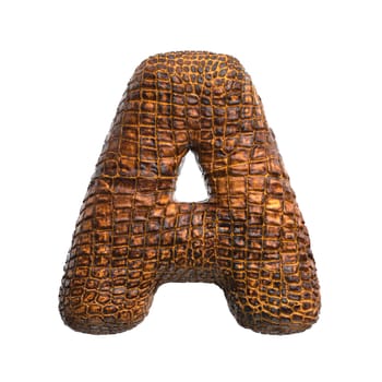 crocodile letter A - Capital 3d reptile font isolated on white background. This alphabet is perfect for creative illustrations related but not limited to wildlife, ecology, conservation...