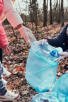 Family cleaning up a forest. Volunteers picking plastic waste to bags. Concept of plastic pollution and too many plastic waste. Environmental issue. Environmental damage. Responsibilitiy for environment. Real people, authentic situations