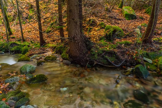 River waterfall in the portuguese national park of Geres, in the north of the country