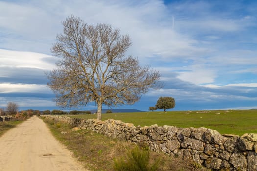 Via de la Plata way (Silver Way) to Santiago in Extremadura. Spain