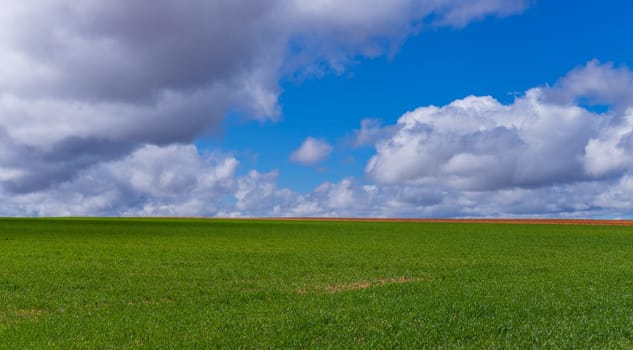 Green field and the sky in Zamora, near Puebla de Sanabria, Spain
