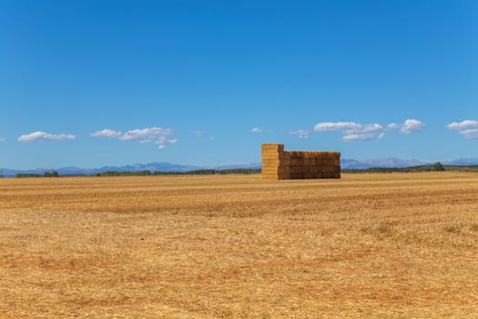 view of a crop field in the north of Spain