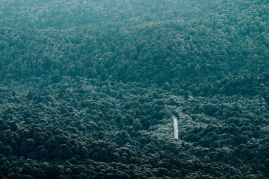 Road with car driving through deep wide forest, remote view from above