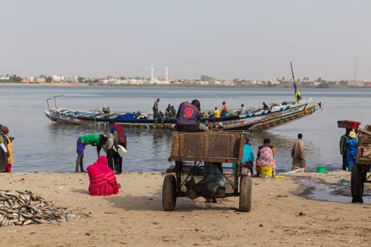 Dakar, Senegal. August 18, 2019: People buying and selling just landed fish on beach at Dakar, Senegal, West Africa