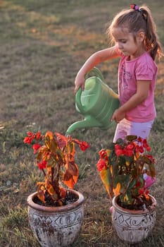Little girl helping to water the flowers growing in flower pot, pouring water from green watering can, working in backyard at sunset. Candid people, real moments, authentic situations