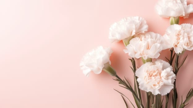 White carnations on a light pink background with copy space. Created using Generative AI and image editing software.